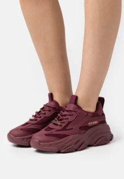 Steve Madden Possession - Sneakers Laag - Wine