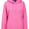 JJXX Abbie Ls Rel Every Brush Noos - Hoodie - Carmine Rose 1 JJXX Abbie Ls Rel Every Brush Noos - Hoodie - Carmine Rose -Dameskleding 44eb50b856c94a259546adaa0db1ea9a